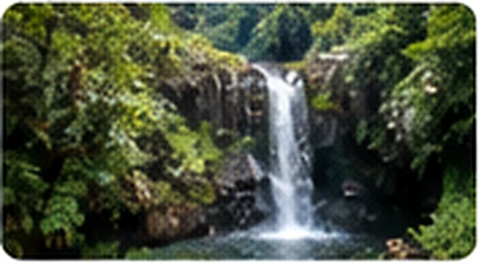 Cascade dans la forêt tropicale
