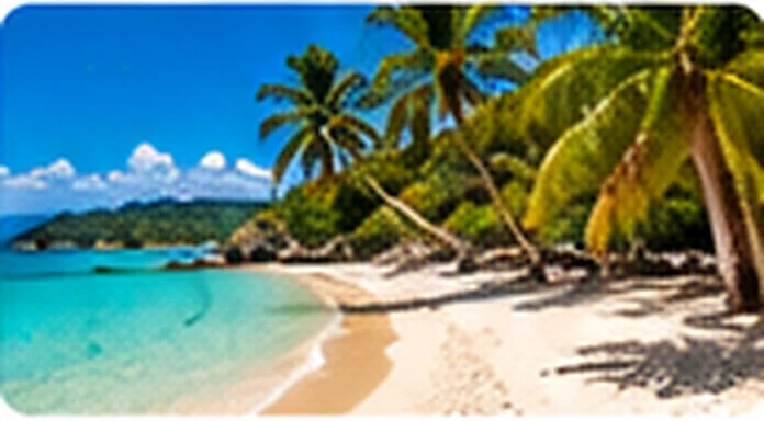 Plage de sable blanc et palmiers